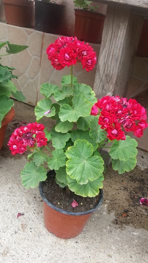 20160720_144819