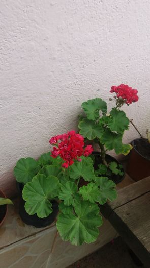 20160720_144825