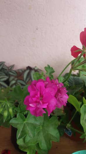 20160720_144646