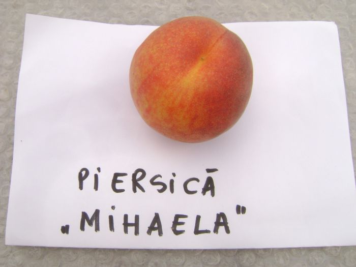 DSC07631 - Piersic Mihaela