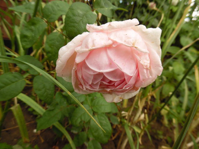 059