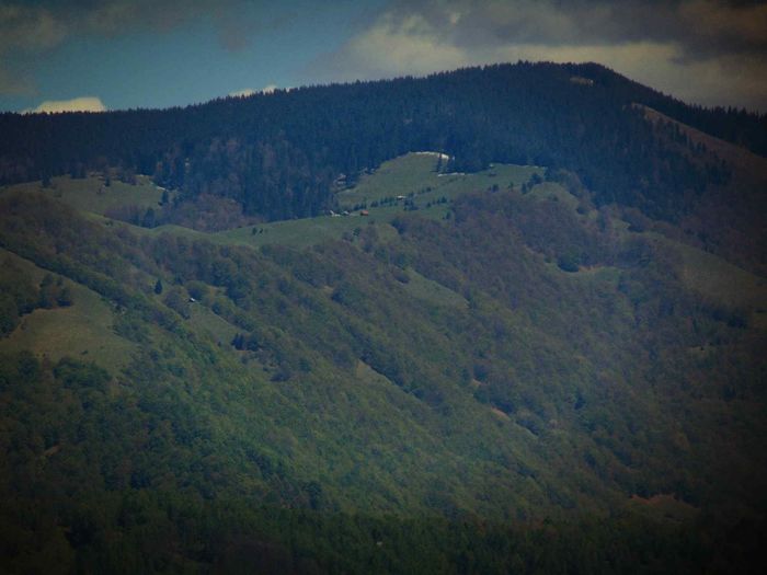 DSC05859