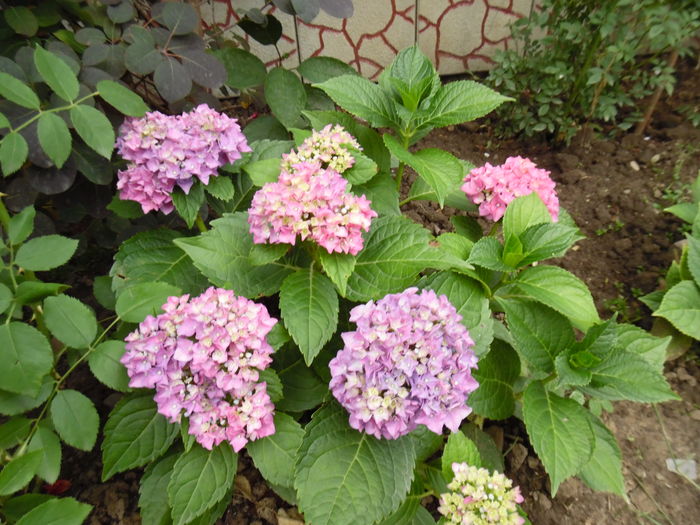 091