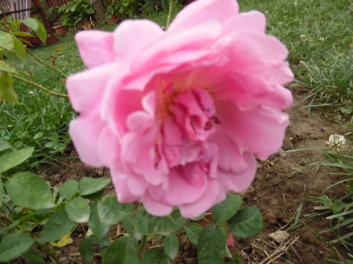 094