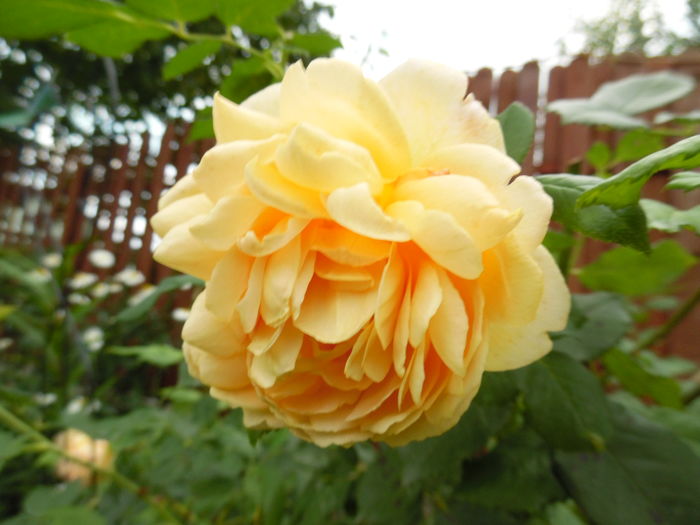 099