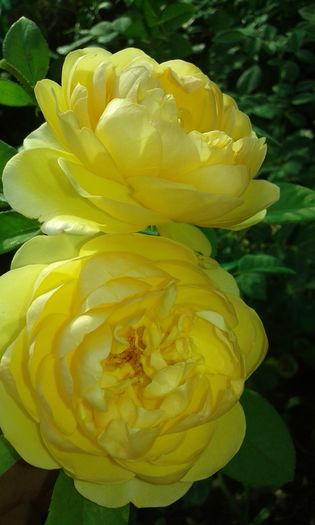 20160721_022837