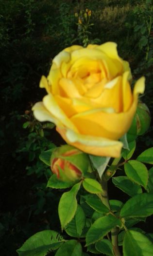 20160721_022703