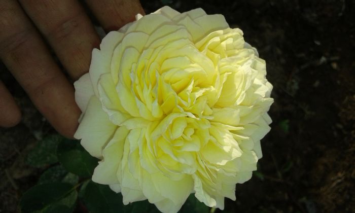 20160721_022414