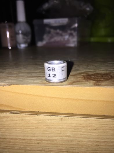Marea Britanie F - Colectia 1 inele porumbei