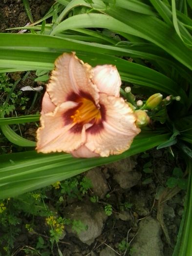 20160617_185517