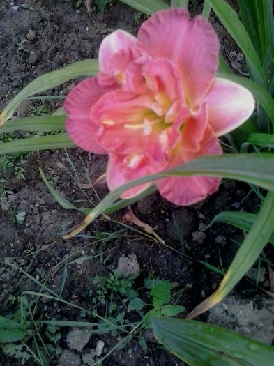 20160618_065231