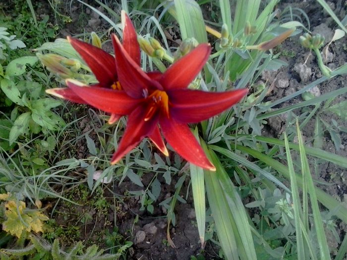 20160618_065249