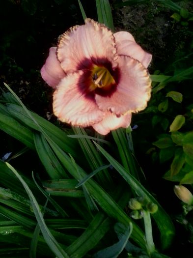 20160618_065352