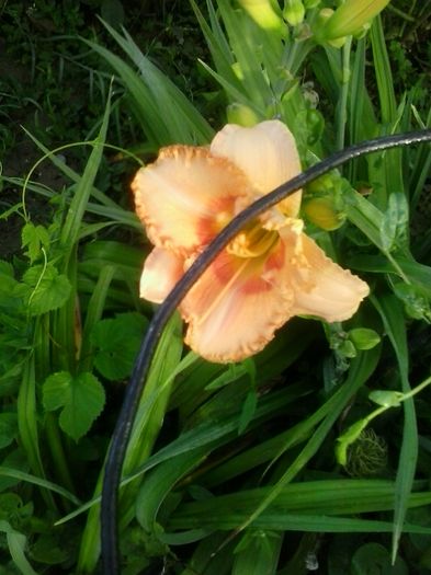 20160618_065413