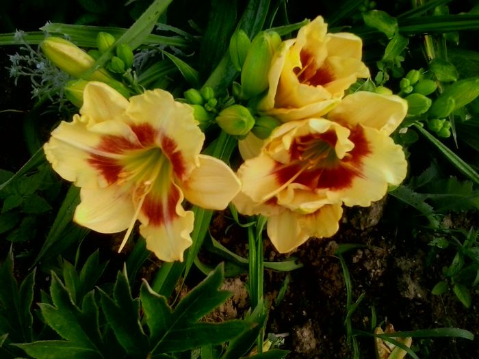 20160618_065714