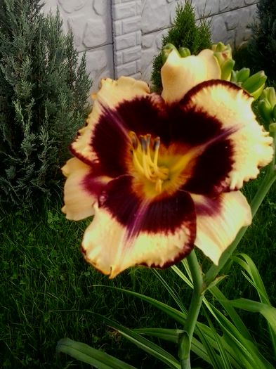 20160619_072459