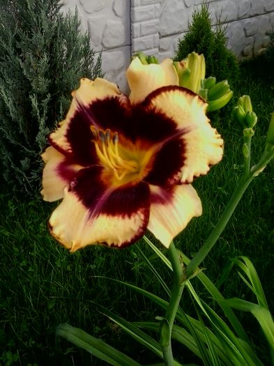 20160619_072503