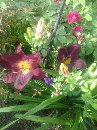 20160620_073051