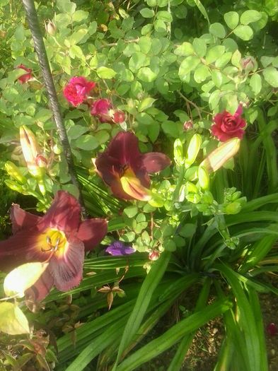 20160620_073057