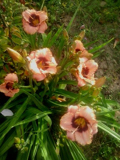 20160620_073238