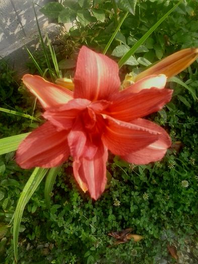 20160620_073651