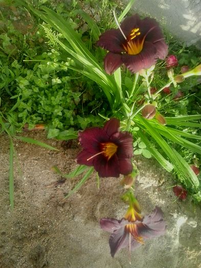 20160620_073706