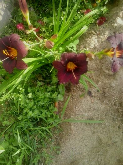 20160620_073709