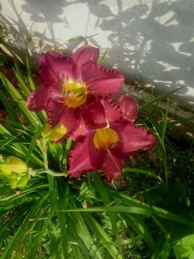 20160620_073726