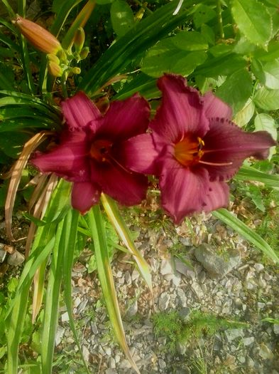 20160620_073734