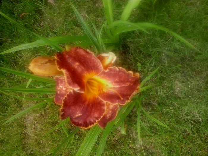 20160620_124100