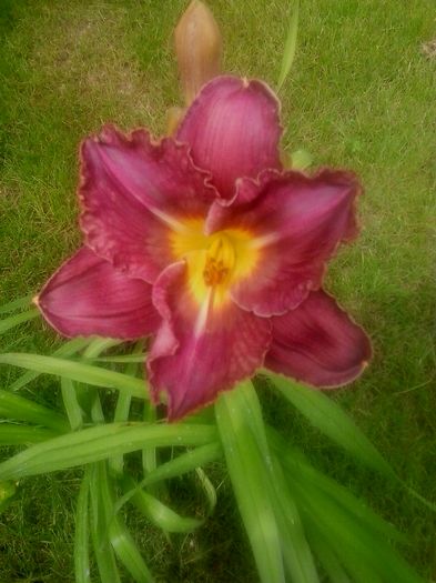 20160620_124109