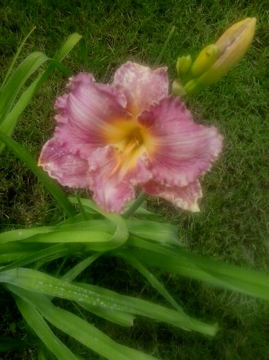 20160620_124126