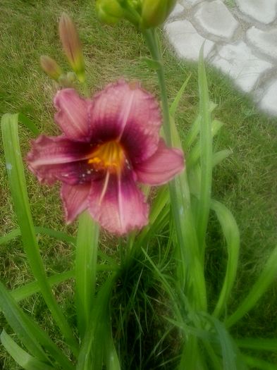 20160620_124133