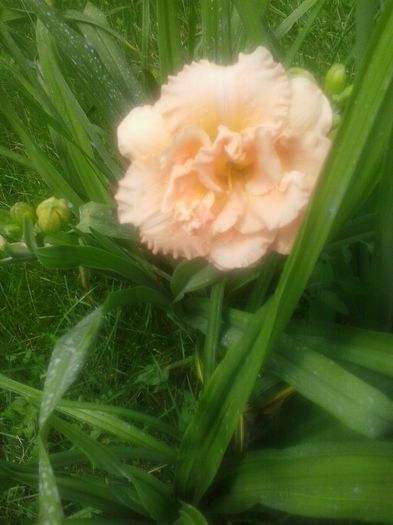 20160620_124210