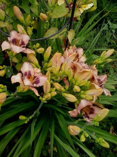 20160625_134826