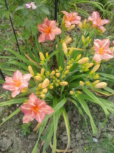 20160625_135034