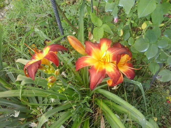 20160625_135050