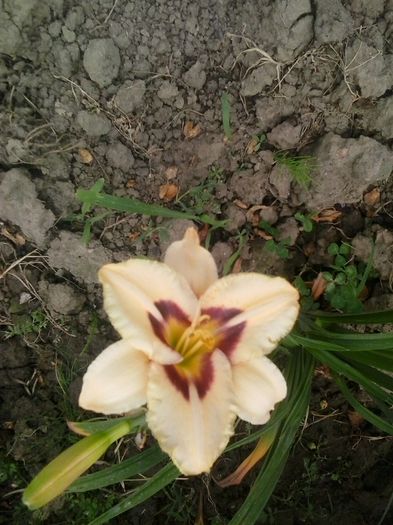20160625_135101
