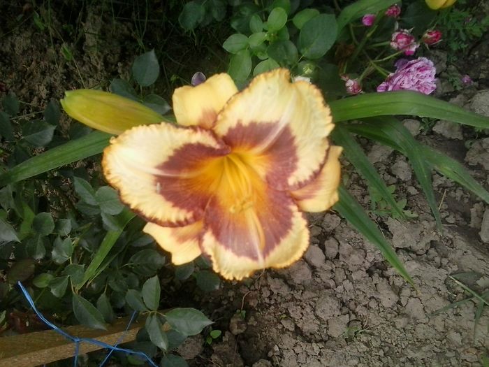 20160625_135114