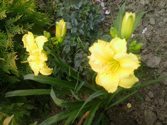 20160625_135128
