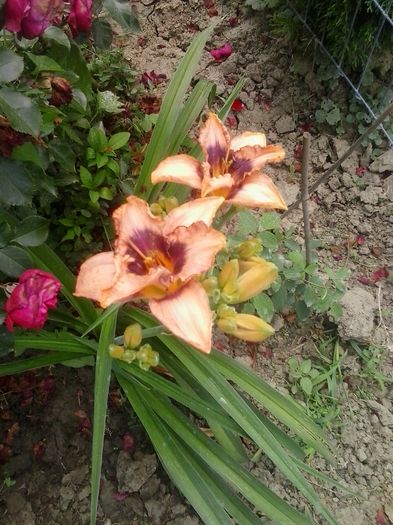 20160625_135146