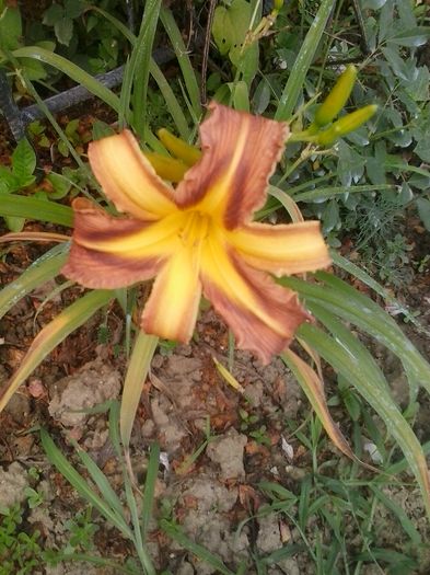 20160625_135206