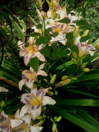 20160625_135405