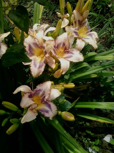 20160625_135415
