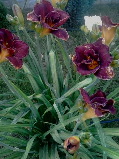 20160625_205015