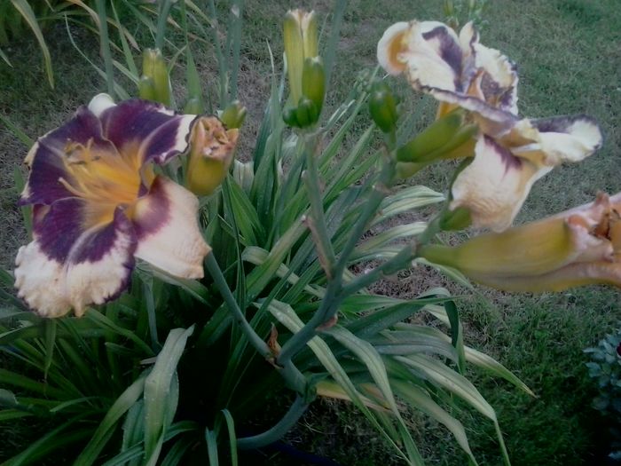 20160625_205025