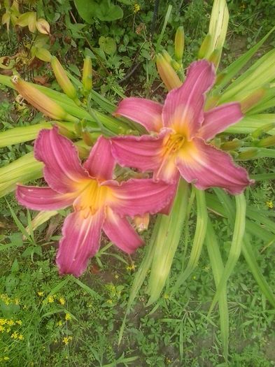 20160628_130015