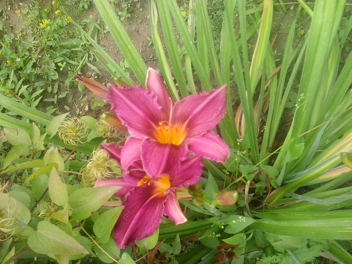 20160628_130039