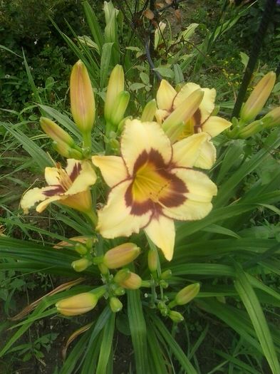 20160628_130124
