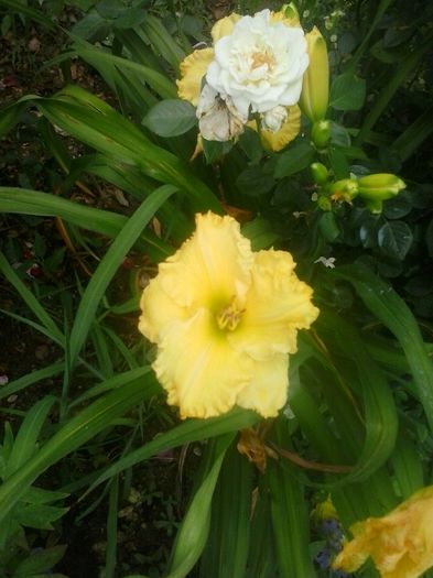 20160628_130203